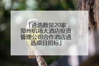 遴选数量20家，郑州机场大酒店投资管理公司合作酒店遴选项目招标