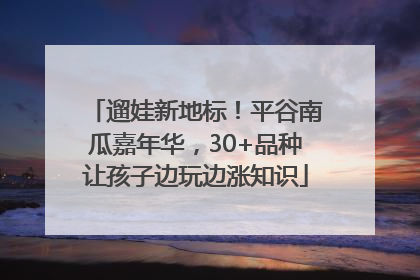 遛娃新地标！平谷南瓜嘉年华，30+品种让孩子边玩边涨知识