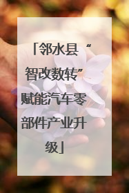 邻水县“智改数转”赋能汽车零部件产业升级