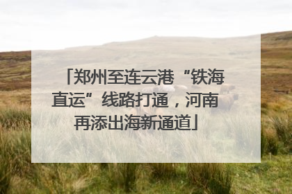 郑州至连云港“铁海直运”线路打通，河南再添出海新通道