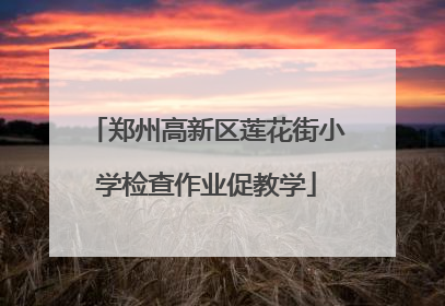 郑州高新区莲花街小学检查作业促教学