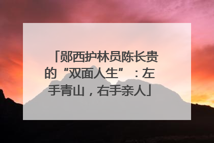 郧西护林员陈长贵的“双面人生”：左手青山，右手亲人