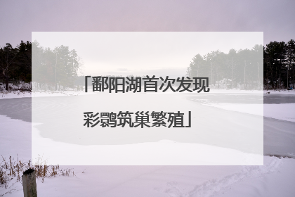 鄱阳湖首次发现彩鹮筑巢繁殖