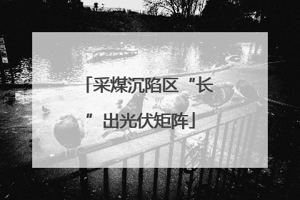 采煤沉陷区“长”出光伏矩阵