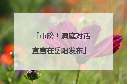 重磅！洞庭对话宣言在岳阳发布