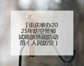 重庆举办2025年防空警报试鸣放暨国防动员（人民防空）宣传教育活动
