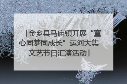 金乡县马庙镇开展“童心同梦同成长”运河大集文艺节目汇演活动