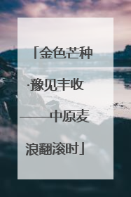 金色芒种·豫见丰收——中原麦浪翻滚时
