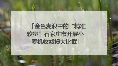 金色麦浪中的“精准较量”石家庄市开展小麦机收减损大比武