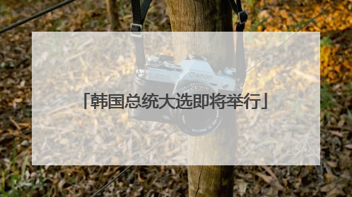韩国总统大选即将举行
