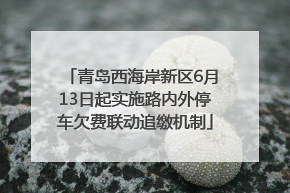 青岛西海岸新区6月13日起实施路内外停车欠费联动追缴机制