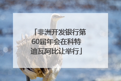 非洲开发银行第60届年会在科特迪瓦阿比让举行