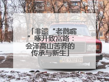 非遗“老鹳嘴”啄开致富路：会泽高山苦荞的传承与新生