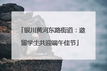 银川黄河东路街道：邀留学生共迎端午佳节