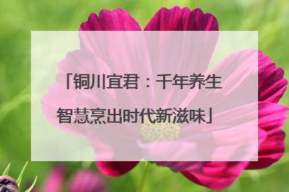 铜川宜君：千年养生智慧烹出时代新滋味