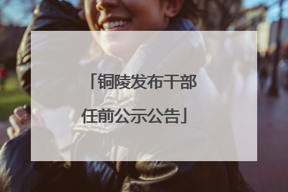铜陵发布干部任前公示公告