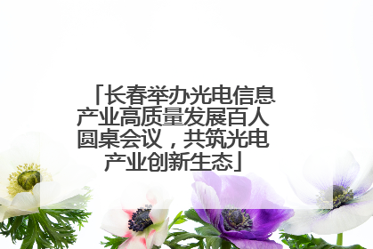 长春举办光电信息产业高质量发展百人圆桌会议，共筑光电产业创新生态
