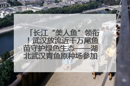 长江“美人鱼”领衔！武汉放流近千万尾鱼苗守护绿色生态——湖北武汉青鱼原种场参加2025年“全国放鱼日”增殖放流活动