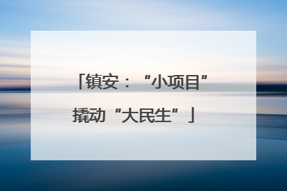镇安：“小项目”撬动“大民生”