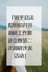 镇平县法院组织召开调研工作推进会暨第二次调研沙龙活动