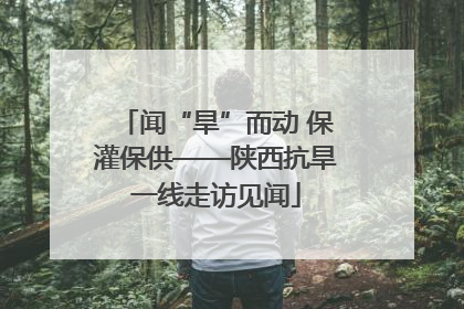 闻“旱”而动 保灌保供——陕西抗旱一线走访见闻