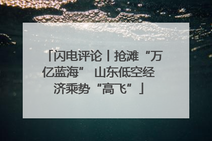 闪电评论丨抢滩“万亿蓝海” 山东低空经济乘势“高飞”