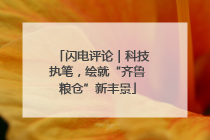 闪电评论｜科技执笔，绘就“齐鲁粮仓”新丰景