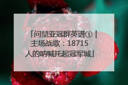 问鼎亚冠群英谱①｜主场战歌：18715人的呐喊托起冠军城