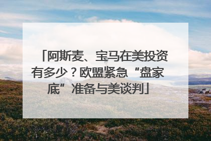阿斯麦、宝马在美投资有多少？欧盟紧急“盘家底”准备与美谈判