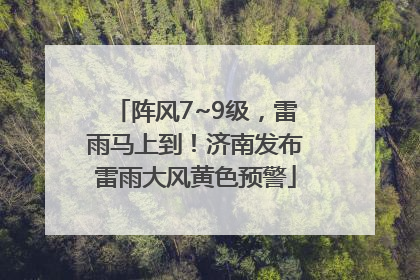 阵风7~9级，雷雨马上到！济南发布雷雨大风黄色预警
