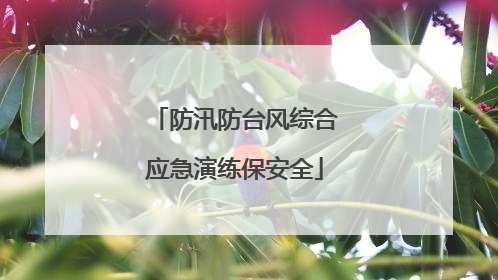 防汛防台风综合应急演练保安全