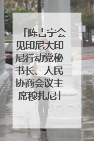陈吉宁会见印尼大印尼行动党秘书长、人民协商会议主席穆扎尼