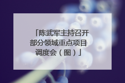陈武军主持召开部分领域重点项目调度会（图）