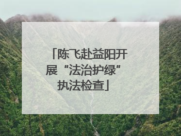 陈飞赴益阳开展“法治护绿”执法检查