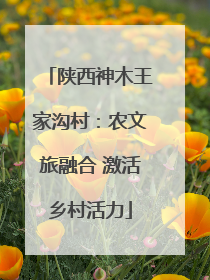 陕西神木王家沟村：农文旅融合 激活乡村活力
