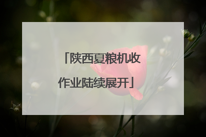 陕西夏粮机收作业陆续展开