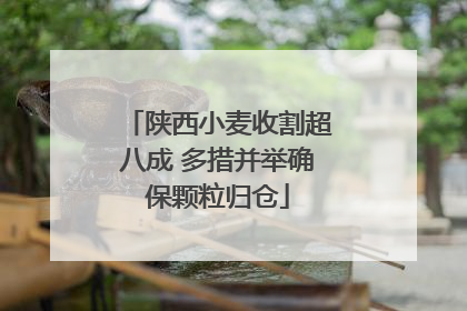 陕西小麦收割超八成 多措并举确保颗粒归仓