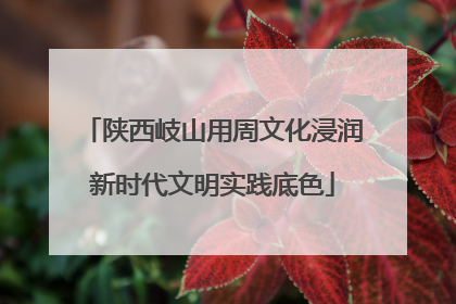 陕西岐山用周文化浸润新时代文明实践底色
