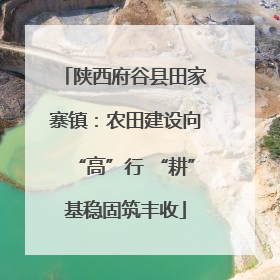 陕西府谷县田家寨镇：农田建设向“高”行 “耕”基稳固筑丰收