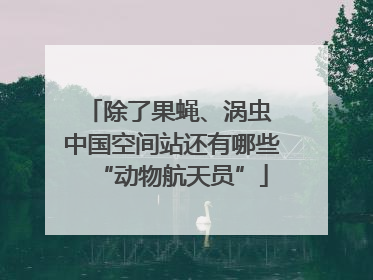 除了果蝇、涡虫 中国空间站还有哪些“动物航天员”