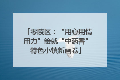 零陵区：“用心用情用力”绘就“中药香”特色小镇新画卷