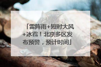 雷阵雨+短时大风+冰雹！北京多区发布预警，预计时间