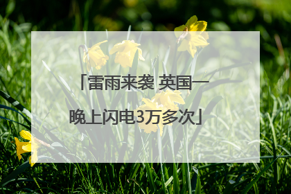 雷雨来袭 英国一晚上闪电3万多次
