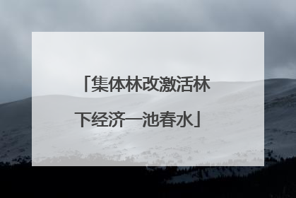 集体林改激活林下经济一池春水