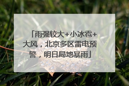 雨强较大+小冰雹+大风，北京多区雷电预警，明日局地暴雨