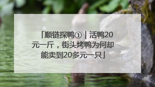 顺链探鸭①｜活鸭20元一斤，街头烤鸭为何却能卖到20多元一只