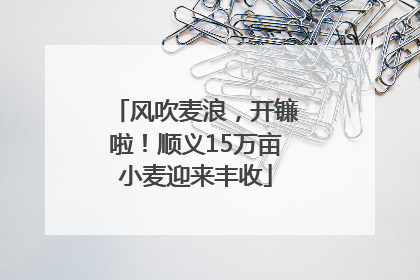 风吹麦浪，开镰啦！顺义15万亩小麦迎来丰收