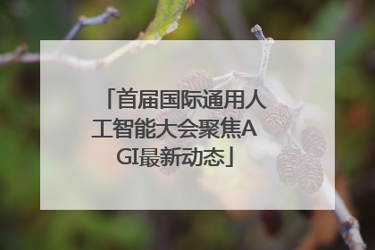首届国际通用人工智能大会聚焦AGI最新动态