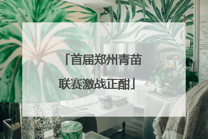 首届郑州青苗联赛激战正酣