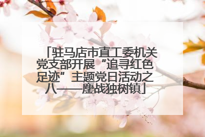 驻马店市直工委机关党支部开展“追寻红色足迹”主题党日活动之八——鏖战独树镇